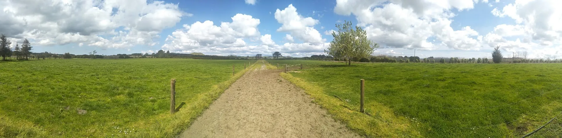 Septic System Design