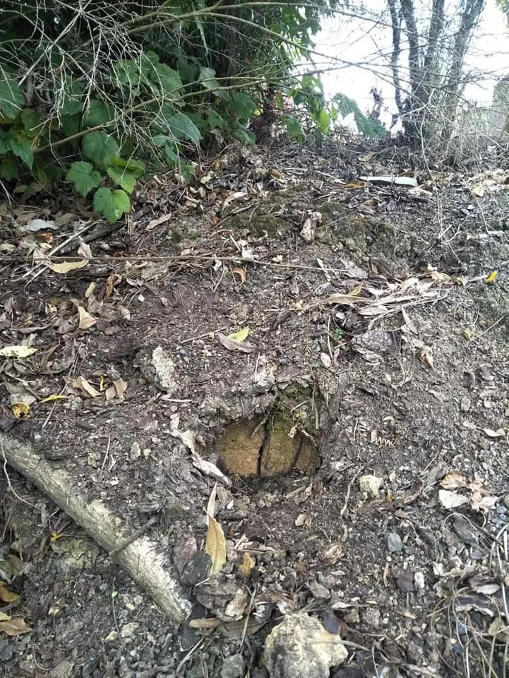 Soil Testing Project